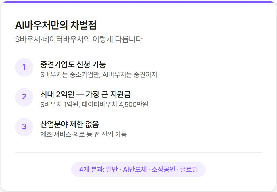 What is the AI Voucher?
